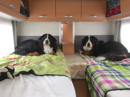 tipunch et virus en camping-car