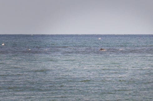 spey bay