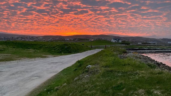 shetland