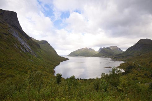Senja