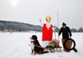 bouvier bernois attelé pour la st-nicolas